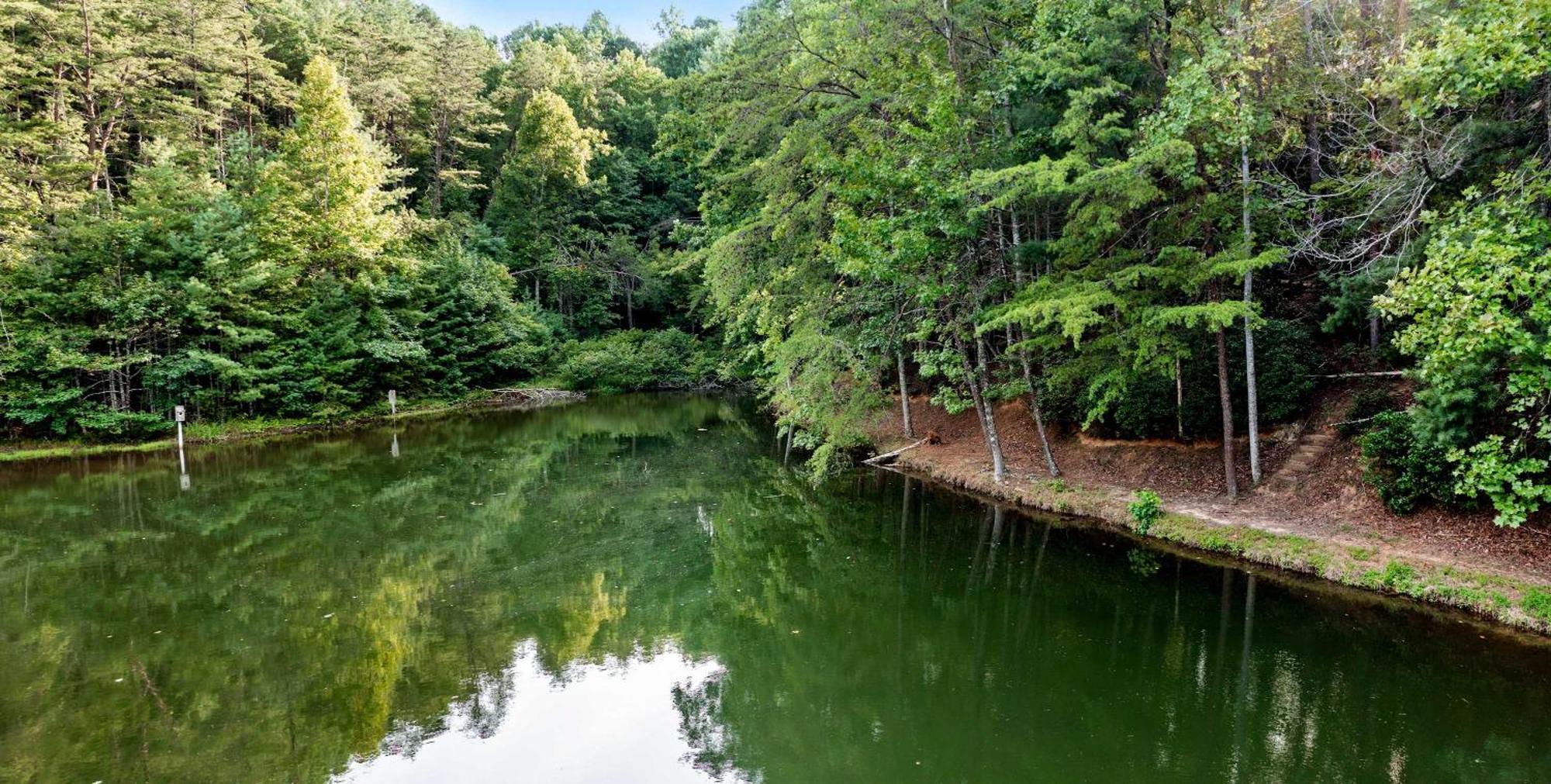 Lakeside Retreat Hot Tub Fishing Hiking 埃利杰 外观 照片